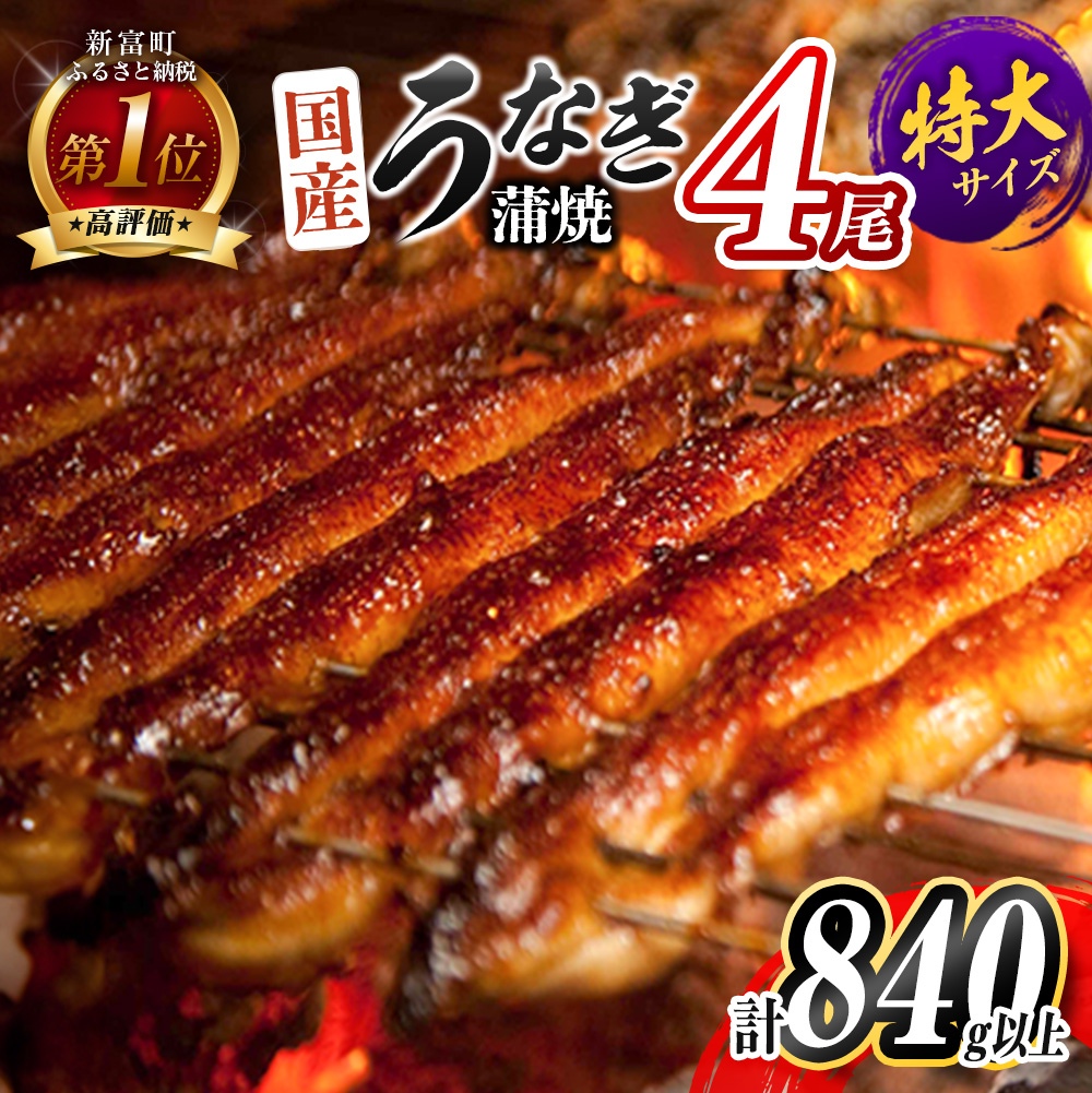 特大 うなぎ 鰻楽 国産 蒲焼 4尾 無頭 計840g以上 宮崎県産 数量限定 2026年12月お届け【C388-840-12】
