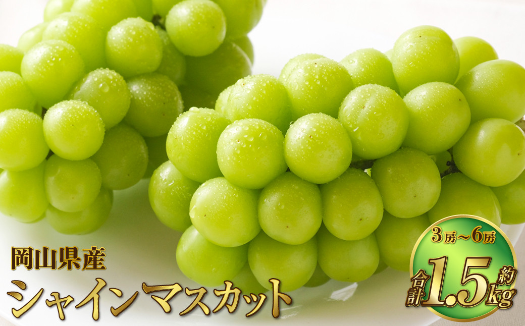 
            岡山県産 シャインマスカット 晴王 約1.5kg（3房～6房） 果物 フルーツ くだもの ぶどう ブドウ 葡萄 マスカット 種なし 種無し 冷蔵 国産 奈義町 【2025年7月上旬～8月下旬発送予定】
          