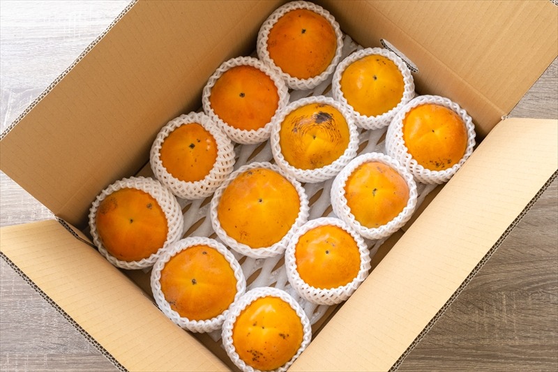 159-2048-06　【お買い得】大磯産『太秋柿』10～15個入り（訳あり　約４kg）〈出荷時期:2025年10月中旬～2025年11月中旬〉【 神奈川県 大磯町 】