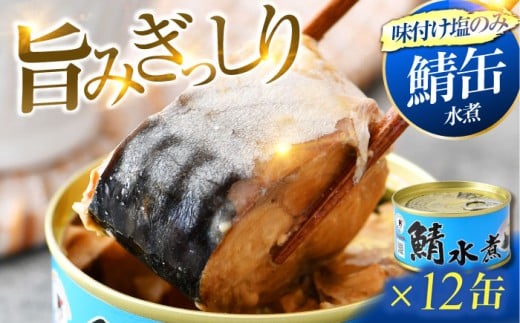 鯖水煮缶詰 12缶（180g/缶） |着日指定可 サバ缶 鯖缶 さば缶 鯖 サバ さば 缶詰 サバ缶詰 鯖缶詰 缶 詰合せ 詰め合せ セット 非常食 防災 備蓄 常温 常備食 保存食 [BFAB029]