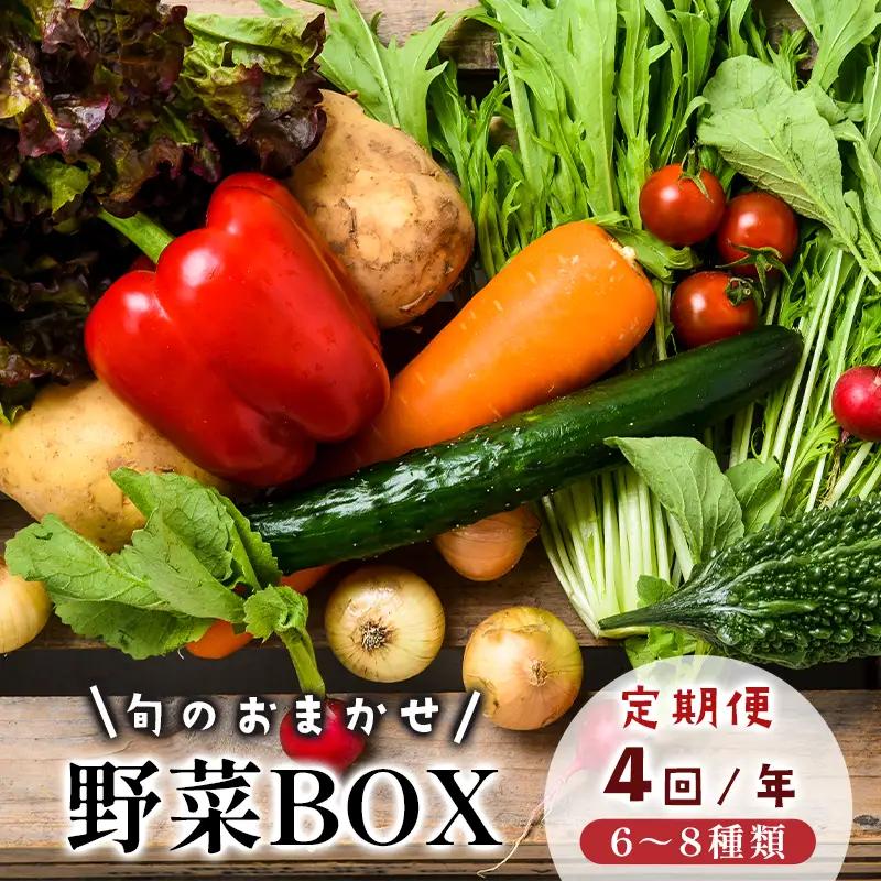 【4回定期便】季節の野菜 詰め合せ セット 6～8種類 年4回 旬野菜
