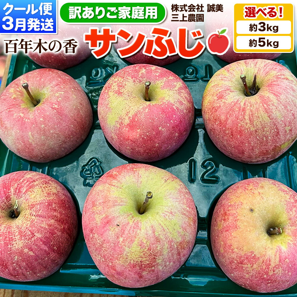 【ふるさと納税】【26年3月クール便発送】りんご サンふじ【選べる 約3kg／約5kg】【訳あり】家庭用 百年木の香 三上農園