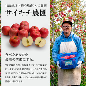りんご 訳あり 青森 サンふじ 約 5kg （12～18玉) リンゴ サイキチ農園 青森県 鰺ヶ沢町産 フルーツ 果物 不揃い 傷 林檎 サンフジ ふじ 12月～1月発送 