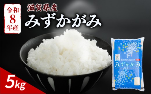 【令和8年産】 新米 みずかがみ 5kg 令和8年産 米 精米 こめ コメ お米 ご飯 5キロ 白米 令和8年 令和8年度産 令和八年産 令和八年 滋賀 彦根 【近江米】