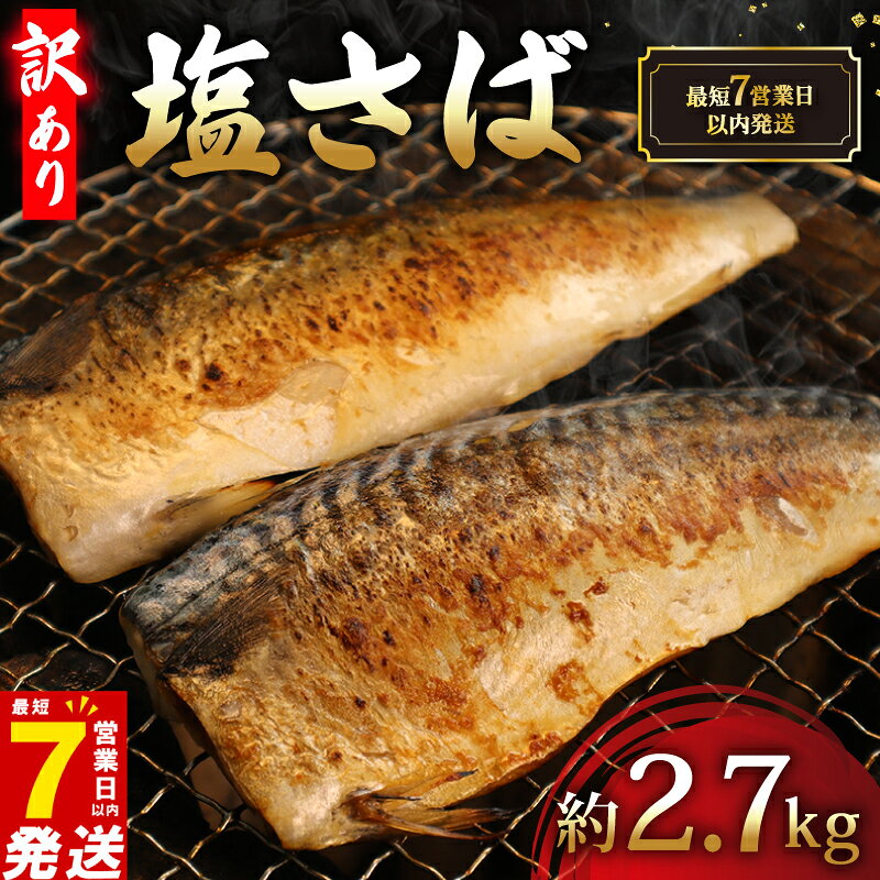 【ふるさと納税】 ＼最短7営業日以内発送／ 訳あり 塩さば フィーレ 約2.7kg 20尾以上 塩サバ 塩鯖 鯖 さば サバ 冷凍 簡単調理 手軽 料理 和食 おかず 惣菜 お弁当 夕食 食卓 お弁当 家庭用 魚 海鮮 水産 水産加工品 送料無料 千葉県 旭市 有限会社井上商店