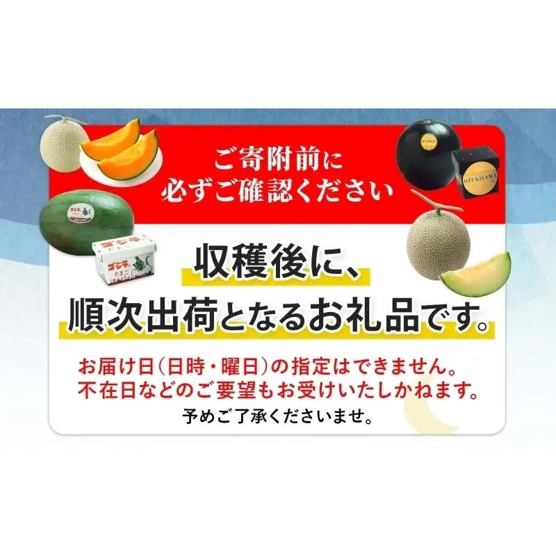 メロン 赤肉 北の女王 秀品 北海道 メロン【2玉 計約3.2kg】【先行予約】
