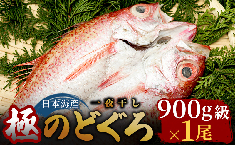 
【極】日本海産のどぐろ開き　900ｇ級×1尾 富山 魚津 浜浦水産[№5617-0814]
