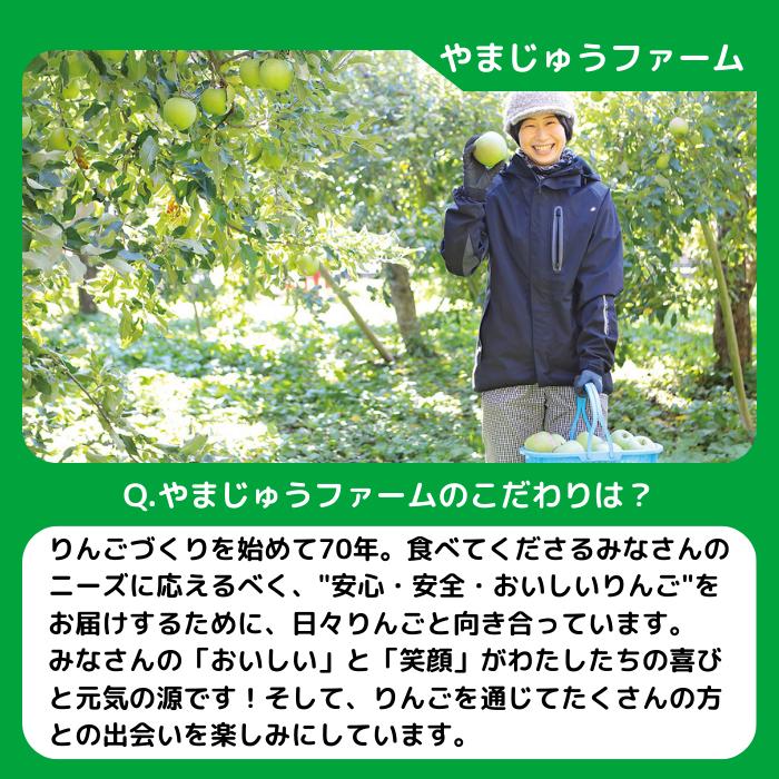 りんご ブラムリー 特選 2kg やまじゅうファーム 沖縄県への