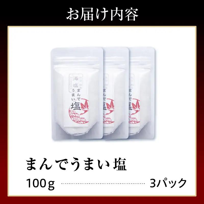 輪島の天然塩！まんでうまい塩×3P　wa058　天然　塩　海塩