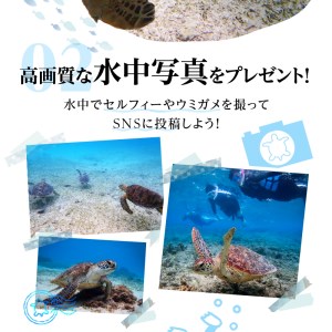 ウミガメ シュノーケリング（ 2名様 ） A051-001 アクティビティ 体験型 ウミガメシュノーケリング 2名分 水中写真 ガイド付 完全貸切 OCEANZ-オーシャンズ ふるさと納税 鹿児島県 