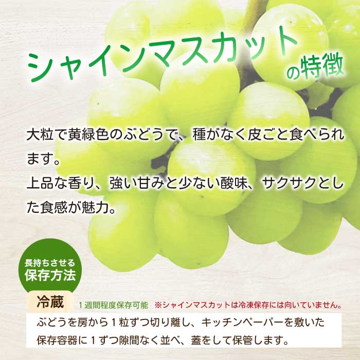 《2026年夏頃発送・先行受付》【ひのきファームランド】訳あり ぶぶぶどう詰め合わせ2kg ブブシャインマスカット 1kg ブブナガノパープル 1kg ぶどう マスカット 果物 フルーツ 233003