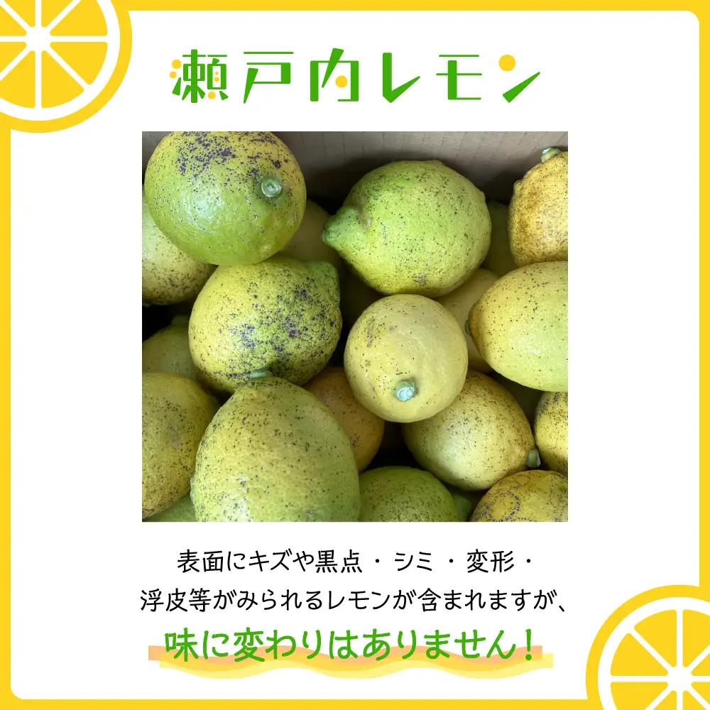 先行受付2026年11月～発送 栽培期間中農薬不使用瀬戸内レモン3kg