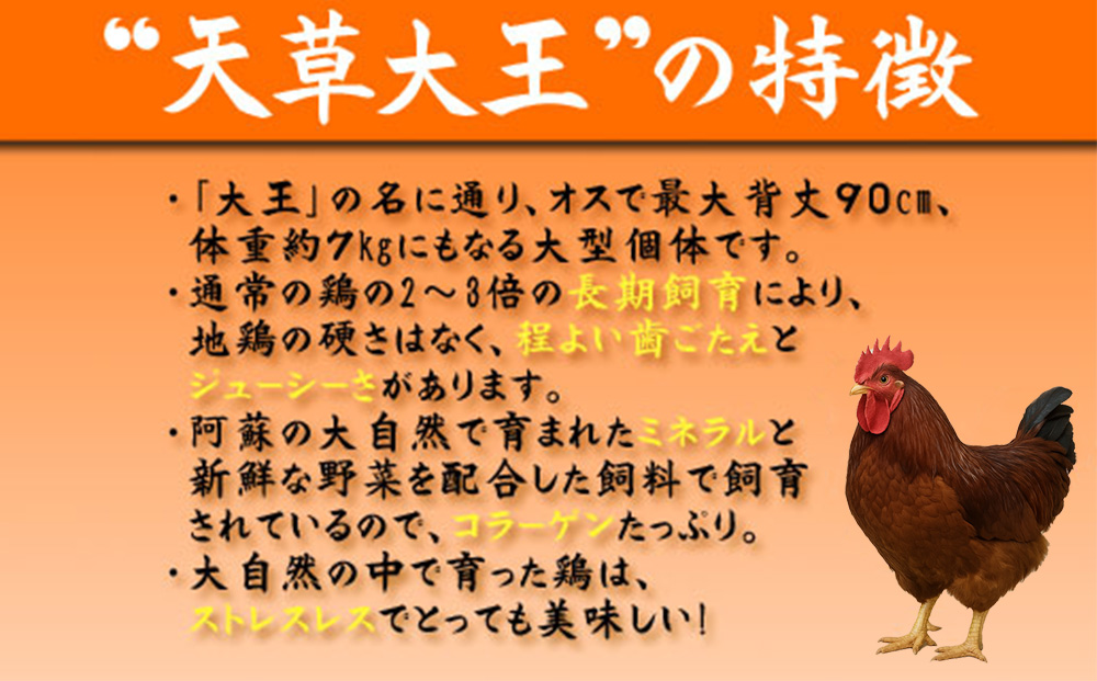 【JALふるさと納税限定】ご当地直行便　天草大王と阿蘇タカナード　くまもと地鶏 地鶏 肉 鶏肉 もも　人気 希少 貴重 美味しい ヘルシージューシー コラーゲン　高菜　農林水産省　優良ふるさと食品　 
