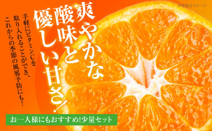 【10月上旬より順次配送】 酸味さわやか愛媛じるし! 温州みかん 2.5kg （2Sから2L混合サイズ） みかん 愛媛 みかん ジュース 果物 くだもの フルーツ 愛媛県大洲市/玉川農園 [AGBC0
