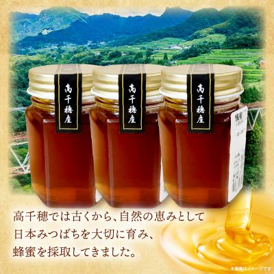 ふるさと納税 高千穂町 日本みつばち 高千穂の純粋蜂蜜 75g×3本 |  | 01