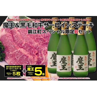 ふるさと納税 錦江町 錦江町スペシャル限定Bセット (No.12004-1)