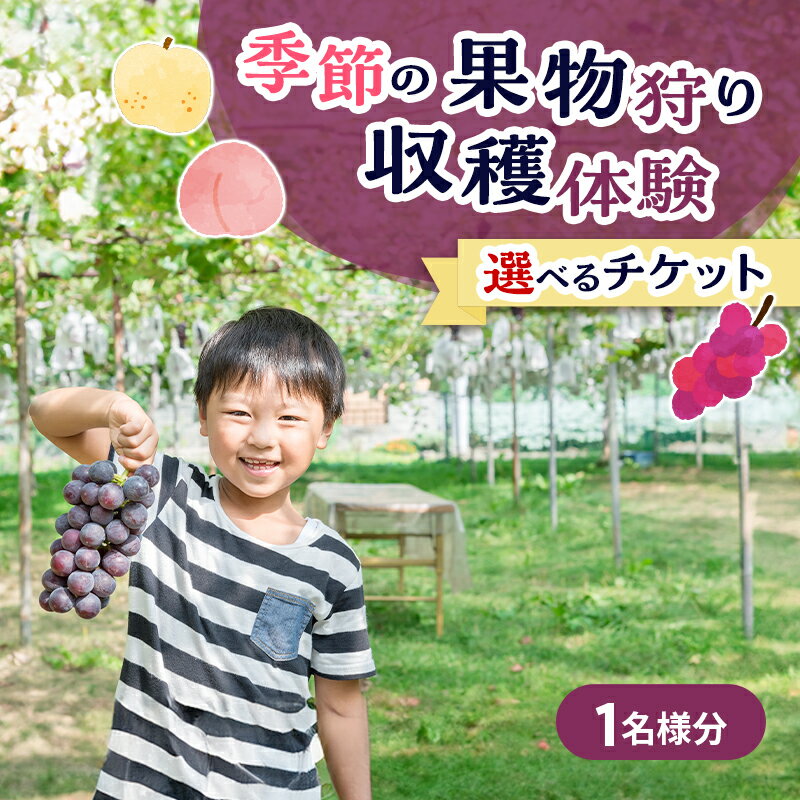 【ふるさと納税】フルーツ 季節の果物狩り 収穫体験 選べる チケット 1名様分 フルーツ狩り シャインマスカット ぶどう 梨 桃 藤原園芸 岡山県 赤磐市