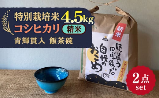 先行予約 【令和6年産新米】 精米 コシヒカリ 特別栽培米 （4.5kg） + 【美濃焼】 青輝貫入 飯茶碗 【山松加藤松治郎商店】 [TEU035]