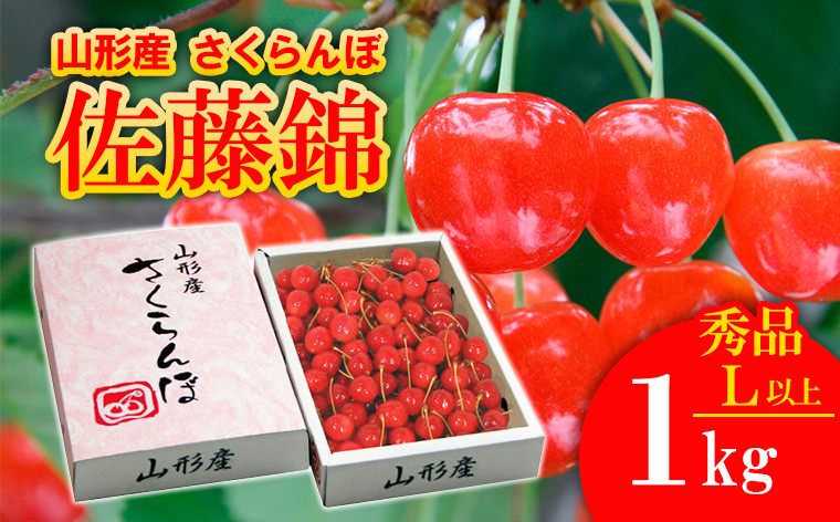 
            さくらんぼ 佐藤錦 Lサイズ以上1kg1箱 【令和7年産先行予約】FS24-607くだもの 果物 フルーツ 山形 山形県 山形市 2025年産
          