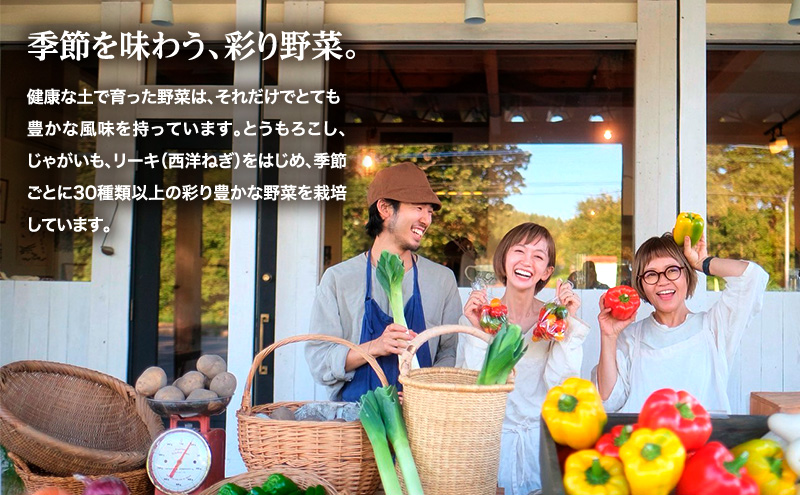 小笠原農園の有機野菜3種詰合せ（きたあかり3kg・アロマレッド3kg・玉ねぎ3kg）【北海道十勝幕別】《2025年秋出荷先行予約》【 野菜 芋 じゃがいも きたあかり にんじん 人参 アロマレッド 玉