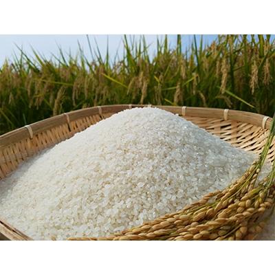 ふるさと納税 五戸町 【五戸町特産セット】令和6年産　精米まっしぐら10kgと長芋3kgのセット |  | 01