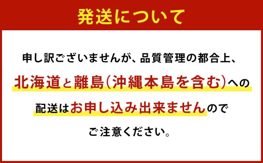 大粒あまおう 4パック 計約1000～1080g あまおう いちご イチゴ 苺 果物 くだもの フルーツ【2027年2月上旬～4月下旬発送予定】