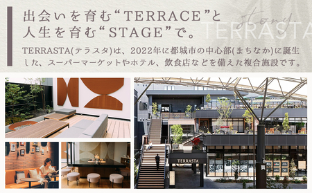 【HOTEL TERRASTA】ステージスイート≪1泊朝食付 宿泊券2名様分≫_CT-K501_(都城市) ホテル テラスタ ステージスイート 1泊朝食付 2名様分 