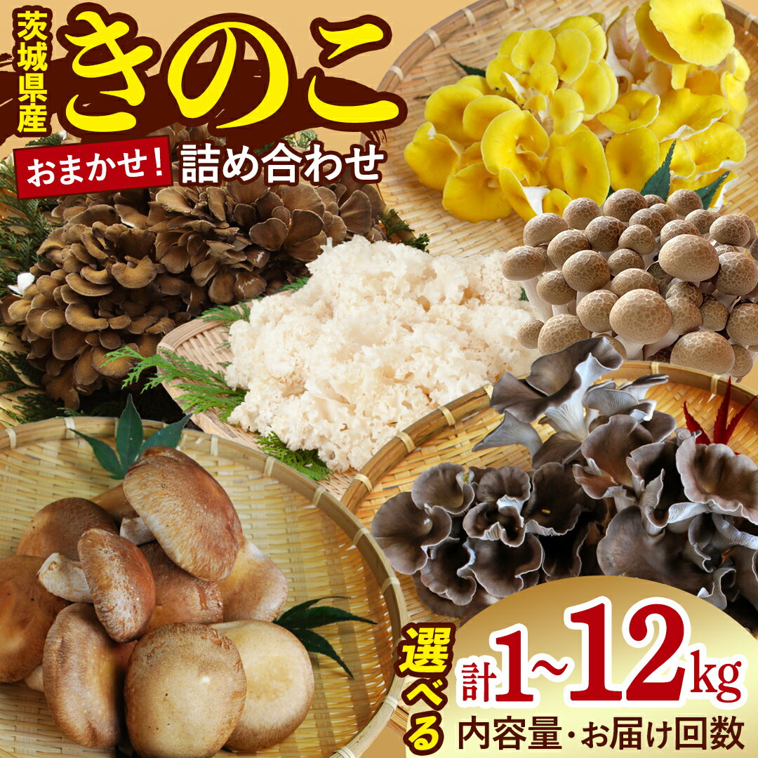 【ふるさと納税】【 選べる 内容量 & お届け回数 】きのこ の 詰め合わせ 1kg 1.5kg 2kg 定期便 3ヶ月 6ヶ月 隔月 大容量 キノコ 舞茸 あわび茸 たもぎ茸 しいたけ 花びら茸 セット 鍋 炒め物 茨城県 城里町産 完全室内栽培 栄養豊富 こだわり 直送 新鮮 セット