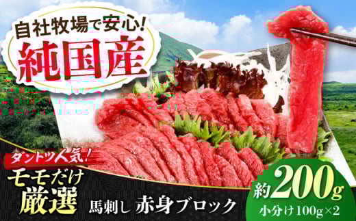 『純国産』熊本の味 赤身 馬刺し 約200g ブロック 冷凍 タレ付き【有限会社 九州食肉産業】 [AYCN017]