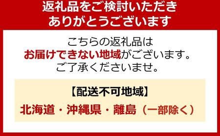 自動空気補充サイクル　スパイスアップエアハブオートライト【24インチ／ブルー】