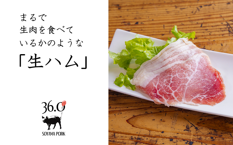 ソヤマポークのこだわり生ハム堪能セット[熟成肩ロース ロース モモ パンチェッタ 4種類] TF864ｰP00078