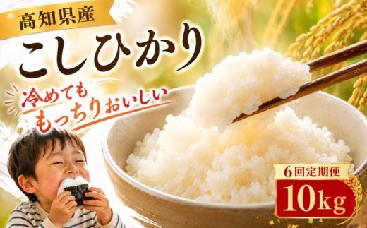 【8月～発送開始！】【令和8年産】 米 こしひかり 10kg 新米 定期便 6ヶ月 計 60kg お米 白米 精米 コシヒカリ ごはん ご飯 高知県産 弁当 おにぎり 料理 高知県安芸市 超早場米 粘り 甘み 日本一 人気 ブランド米 食味 栽培 美味しい 農家 直送 食卓 主食 炊飯 和食 贈答 ギフト ふるさと納税 安芸市 高知県
