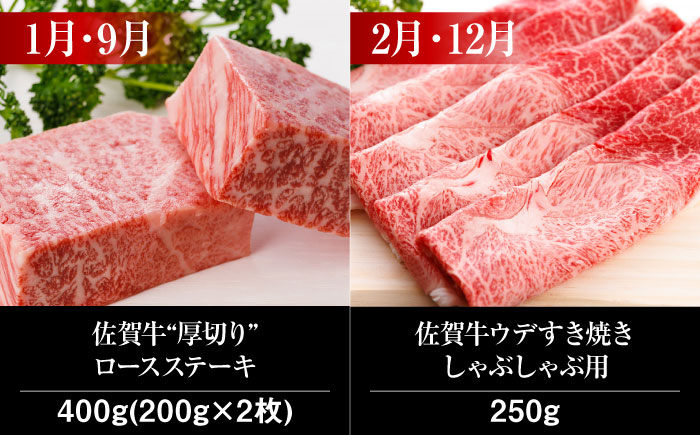 【全12回】 A5ランク 佐賀牛 霜降り 食べ比べ 定期便 約2人前 総計4kg 20万 /焼肉どすこい [UCC002] 最高級 牛肉 肉 ステーキ スライス ローストビーフ ハンバーグ