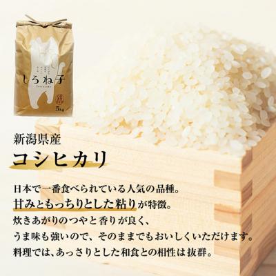 ふるさと納税 新潟市 こしひかり 精米 5kg 新潟産 [54071191] |  | 01