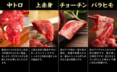 馬肉 フジチクオリジナル 希少部位 と 贅沢な ふじ馬刺し 厳選 セット 道の駅竜北  熊本県 氷川町 肉 馬肉 メン 大トロ 中トロ ヒレ シャトーブリアン ロース ランプ 上赤身 ふじ馬刺し セッ