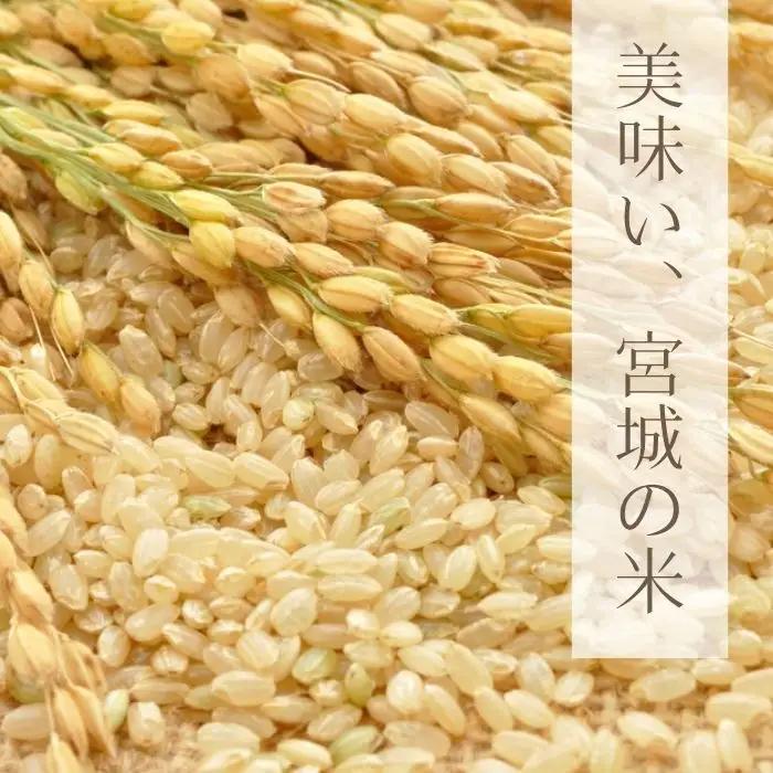 【令和8年産】【新米】【令和8年10月中旬～下旬順次発送】 ひとめぼれ 玄米 30kg E｜ひとめぼれ