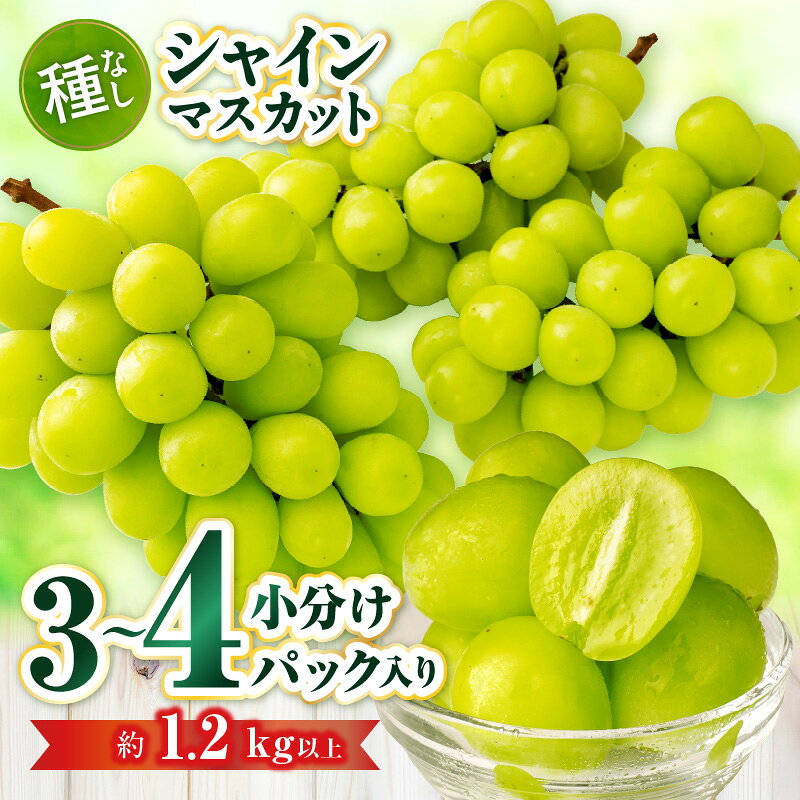 【ふるさと納税】【小分けパック入り】パクパク食べれる・シャインマスカットパック　約1.2kg以上 | シャインマスカット マスカット ぶどう ブドウ 葡萄 果物 フルーツ 新鮮 くだもの ギフト 旬 人気 種なし 糖度が高い季節限定 おすすめ 旬の果物 香川 香川県 三木町