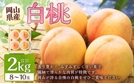 岡山 白桃 8～10玉 （合計2.0kg以上） 【2026年7月上旬～8月上旬 発送予定】 白桃 桃 もも モモ 果物 くだもの フルーツ お取り寄せ 贈り物 ギフト 国産