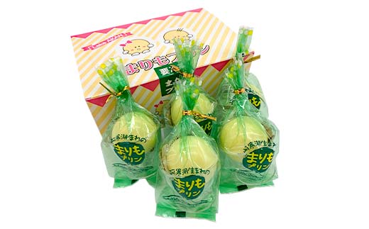 釧路福司 リキュールヨーグルトのお酒 みなにこりとまりもプリンのセット ふるさと納税 酒 菓子  F4F-2267