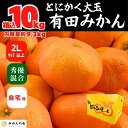 【ふるさと納税】みかん 大玉 どっこいしょ 箱込 10kg ( 内容量約 9.2kg ) 2Lサイズ以上 秀品 優品 混合 有田みかん 和歌山県産 産地直送 家庭用【みかんの会】 | フルーツ 果物 くだもの 食品 人気 おすすめ 送料無料