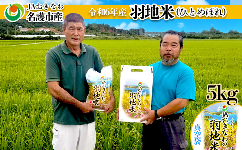 令和6年産　羽地米(ひとめぼれ)　5kg 名護 米 こめ おこめ 国産 沖縄 食品 おにぎり おいしい 独特 お取り寄せ 真空袋 食べ物 美味しい 自然 ご当地 県産 南国 なご 旨味