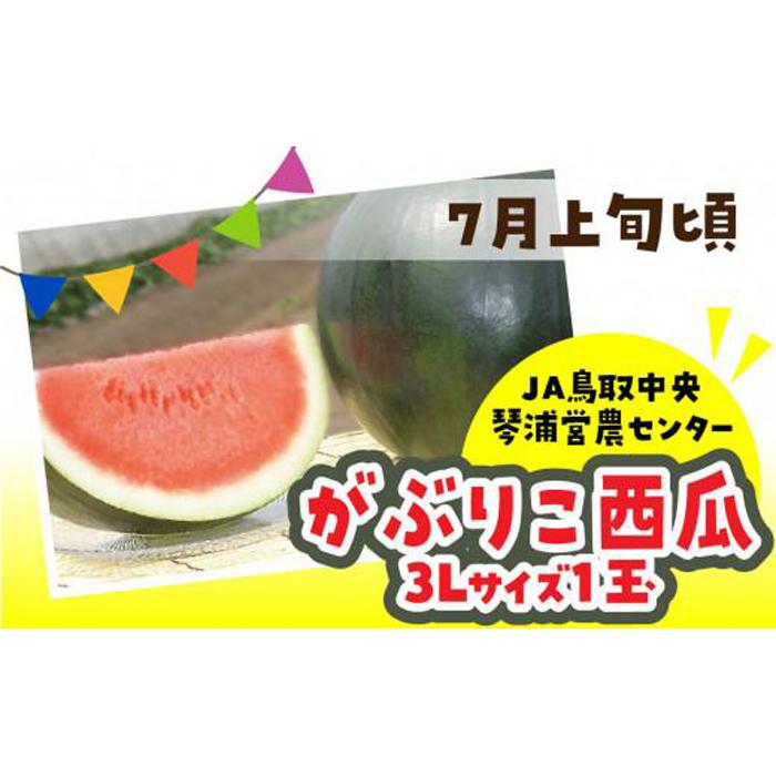 【ふるさと納税】【先行予約】数量限定 鳥取県産 がぶりこ西瓜 1玉（3L） | フルーツ 果物 くだもの 食品 人気 おすすめ 送料無料