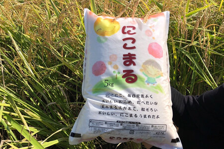 BI242 米 令和7年 新米 にこまる 5kg [ 長崎県 島原市 ]