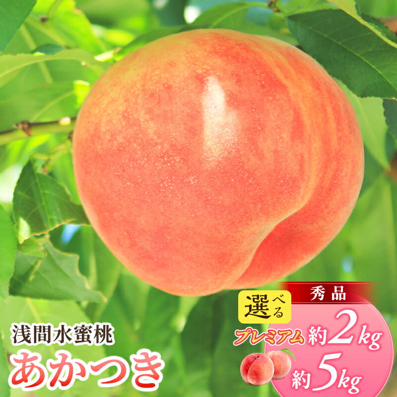 【ふるさと納税】先行予約 2026年発送 浅間水蜜桃 もも あかつき 選べる容量(「浅間水蜜桃プレミアム」 秀品 約2kg 5～9玉/秀品 約5kg) 長野県産 小諸市 桃 果物 フルーツ モモ 果肉　お届け：2026年8月上旬～8月中旬 ※天候によりお届け時期が前後する場合があります。
