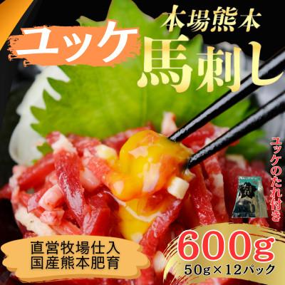 ふるさと納税 和水町 本場熊本の鮮馬刺し 国産馬肉 熊本肥育 ユッケ たれ付 小分け真空パック12P 600g(和泉町)