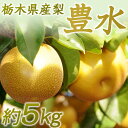 【ふるさと納税】N03 梨 なし 豊水 5kg フルーツ 先行予約 2024年 8月 下旬頃 栃木県