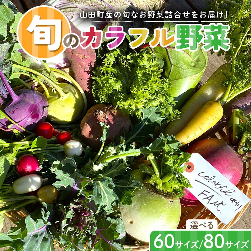 【ふるさと納税】 ≪先行予約≫【2026年5月中旬～発送開始！】 カラフルファムの旬のカラフル野菜 60 80サイズ 無農薬 減農薬 詰合せ お弁当 食卓 おかず 新鮮野菜 三陸山田 山田町 山田産野菜 YD-1017var