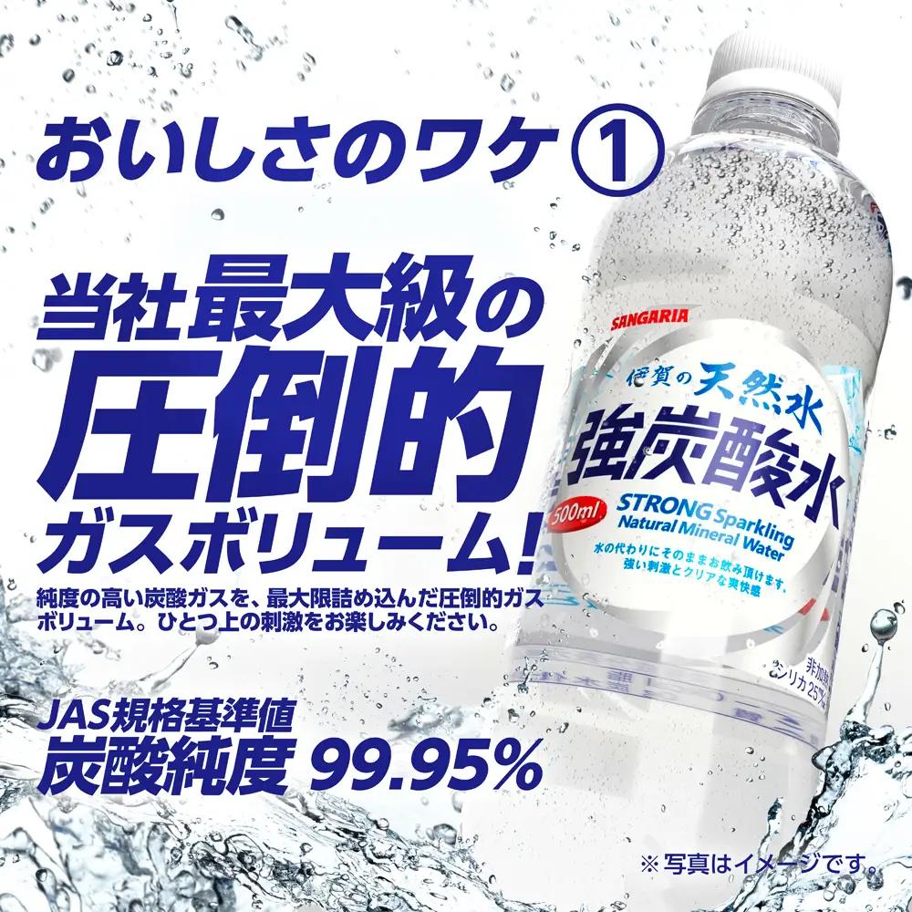 炭酸 サンガリア 伊賀の天然水 強炭酸水2ケース （1L×24本） 【igge0002】