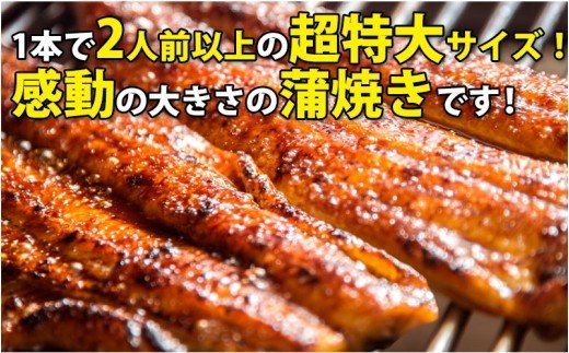 269.【うなぎ屋かわすい】超特大国産うなぎ10本セット （200～229g）(A269-1)