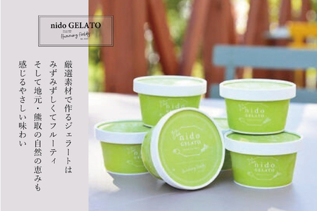 ソルベ＆ジェラート「Nido GELATO」(2種 計6個)【Humming Fields】（025_5003）